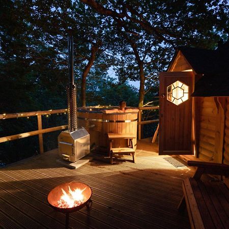 Chestnut Tree House With Hot Tub & Sauna Barmouth Exterior photo
