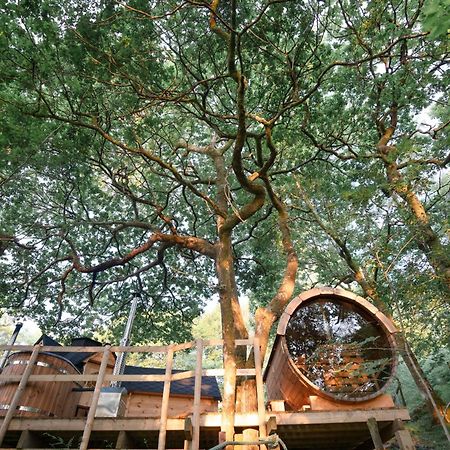 Chestnut Tree House With Hot Tub & Sauna Barmouth Exterior photo